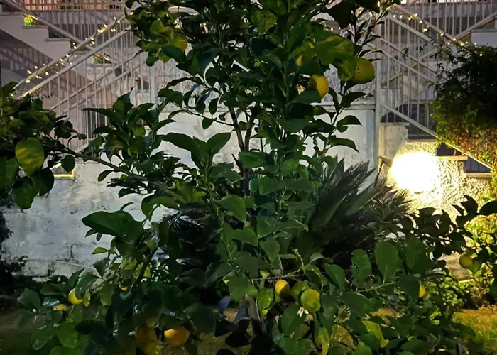 Διαμέρισμα Luisa *